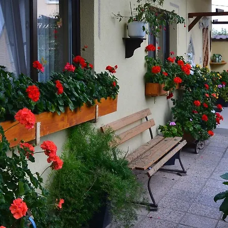 Ferienhaus Ferienhaus *
